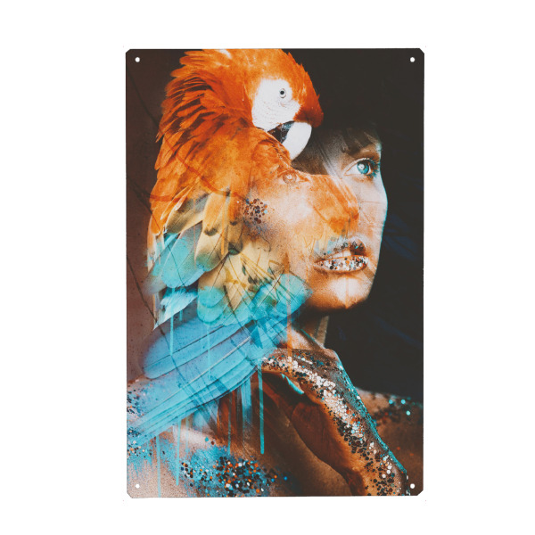 Metall Poster "The colors of the forest" artboxONE - Natur,Tiere,Menschen