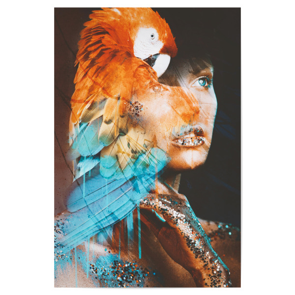 Poster "The colors of the forest" artboxONE - Natur,Tiere,Menschen