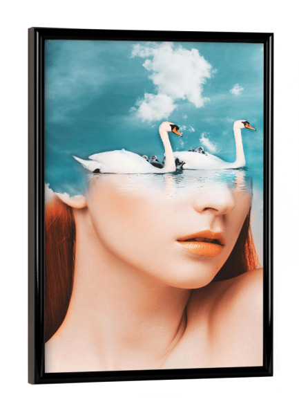 Poster mit schwarzem Rahmen "Cute swan family" artboxONE - Natur,Tiere,Menschen