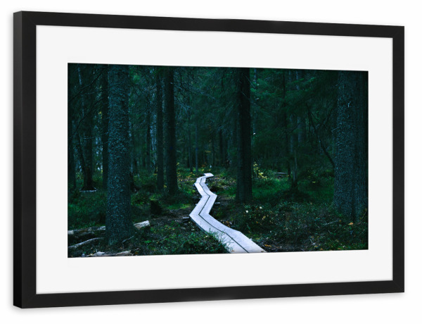 Poster mit Rahmen schwarz "Waldpfad" artboxONE - Natur,Reise,Reise / Länder