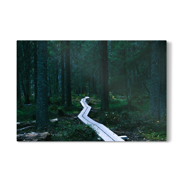 Galerie-Print "Waldpfad" 30x20 cm artboxONE