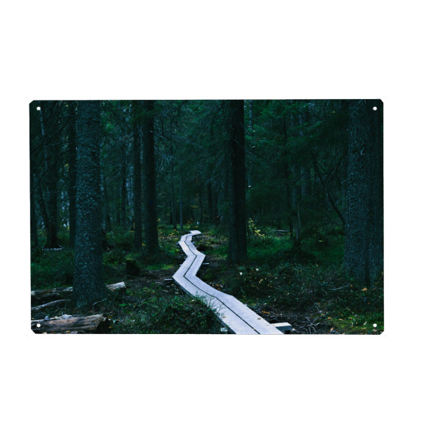 Metall Poster "Waldpfad" artboxONE - Natur,Reise,Reise / Länder