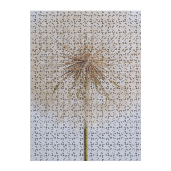 artboxONE Puzzle "Delicate Dandelion" artboxONE - Natur,Floral