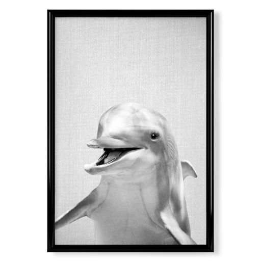 Dolphin - Black & White