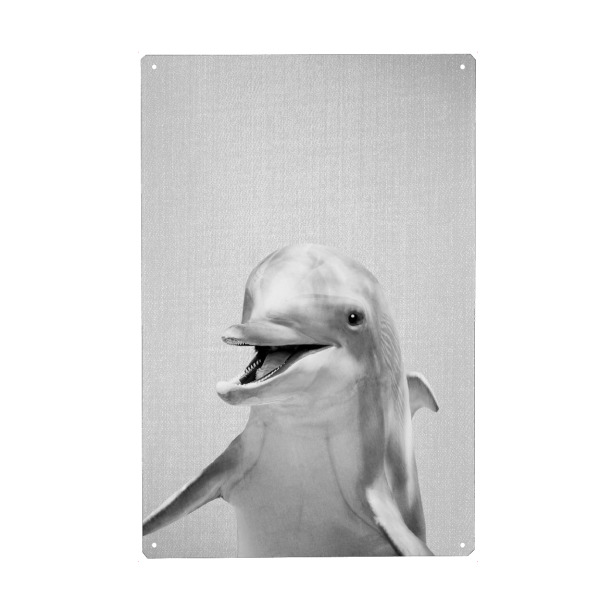 Metall Poster "Dolphin - Black & White" artboxONE - Für Kinder,Tiere,Unterwasser,Lustig