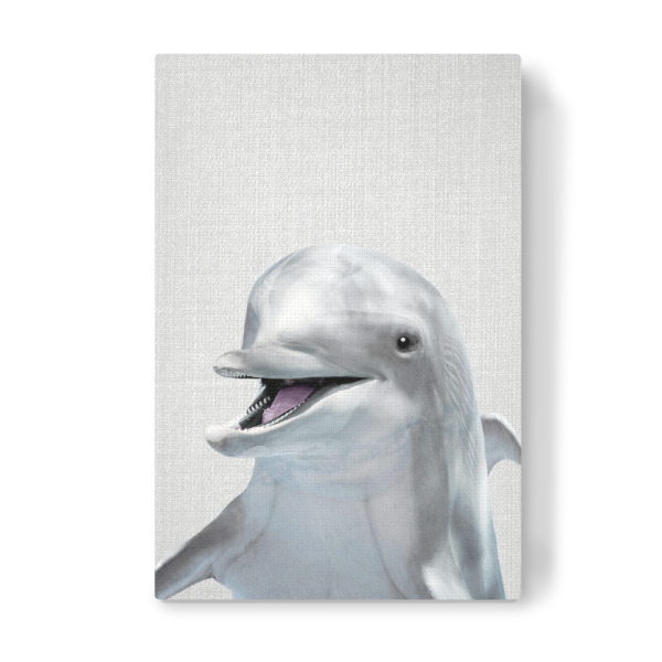 Leinwandbild "Dolphin - Colorful" artboxONE - Natur,Für Kinder,Tiere,Reise / Strand und Meer,Unterwasser