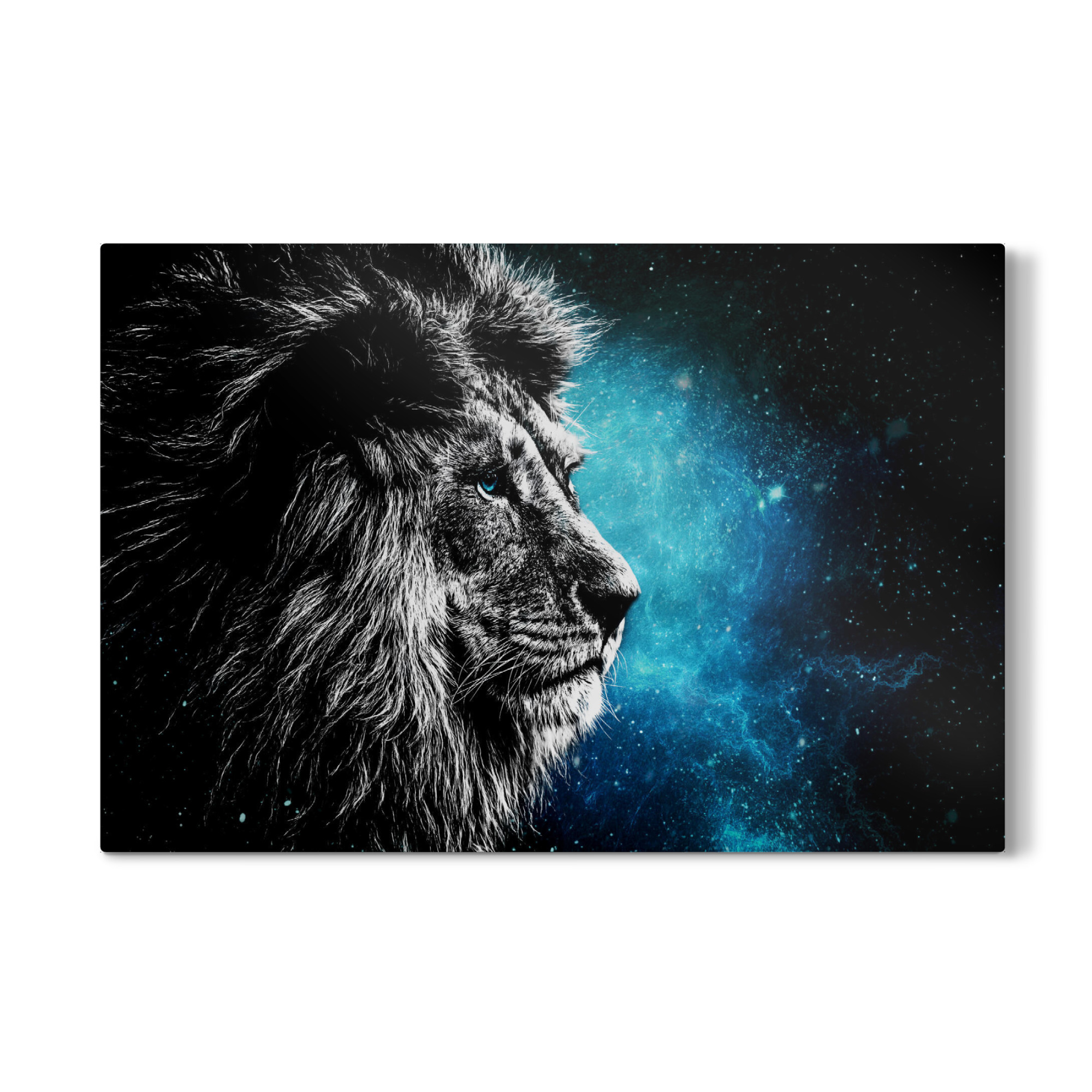 Galerie-Print "Lion in Space" 30x20 cm artboxONE