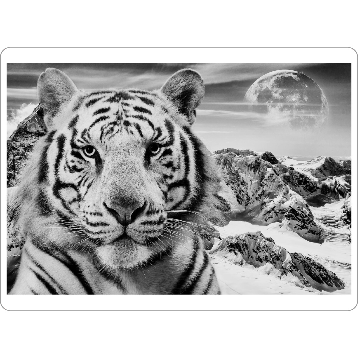 Tischset "White Tiger (matart)" artboxONE - Natur,Tiere