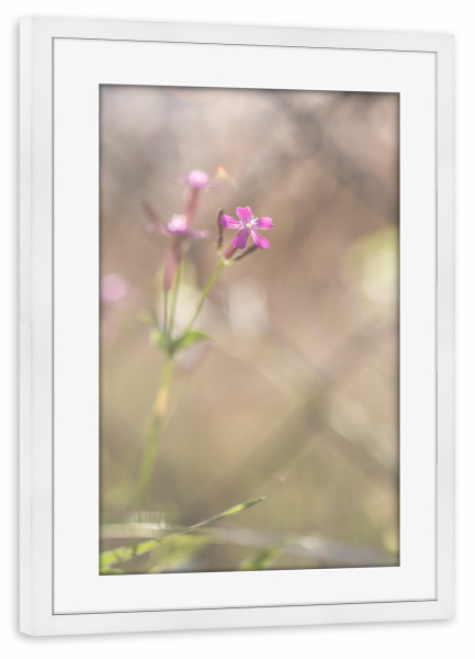 Poster mit Rahmen weiß "Filigran" artboxONE - Natur,Floral