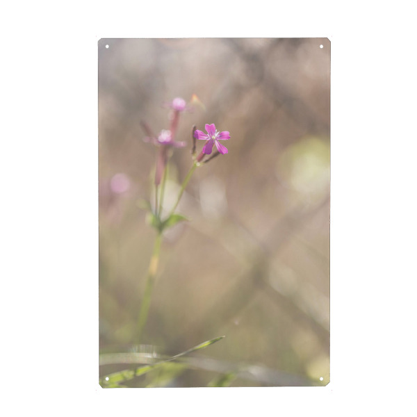 Metall Poster "Filigran" artboxONE - Natur,Floral
