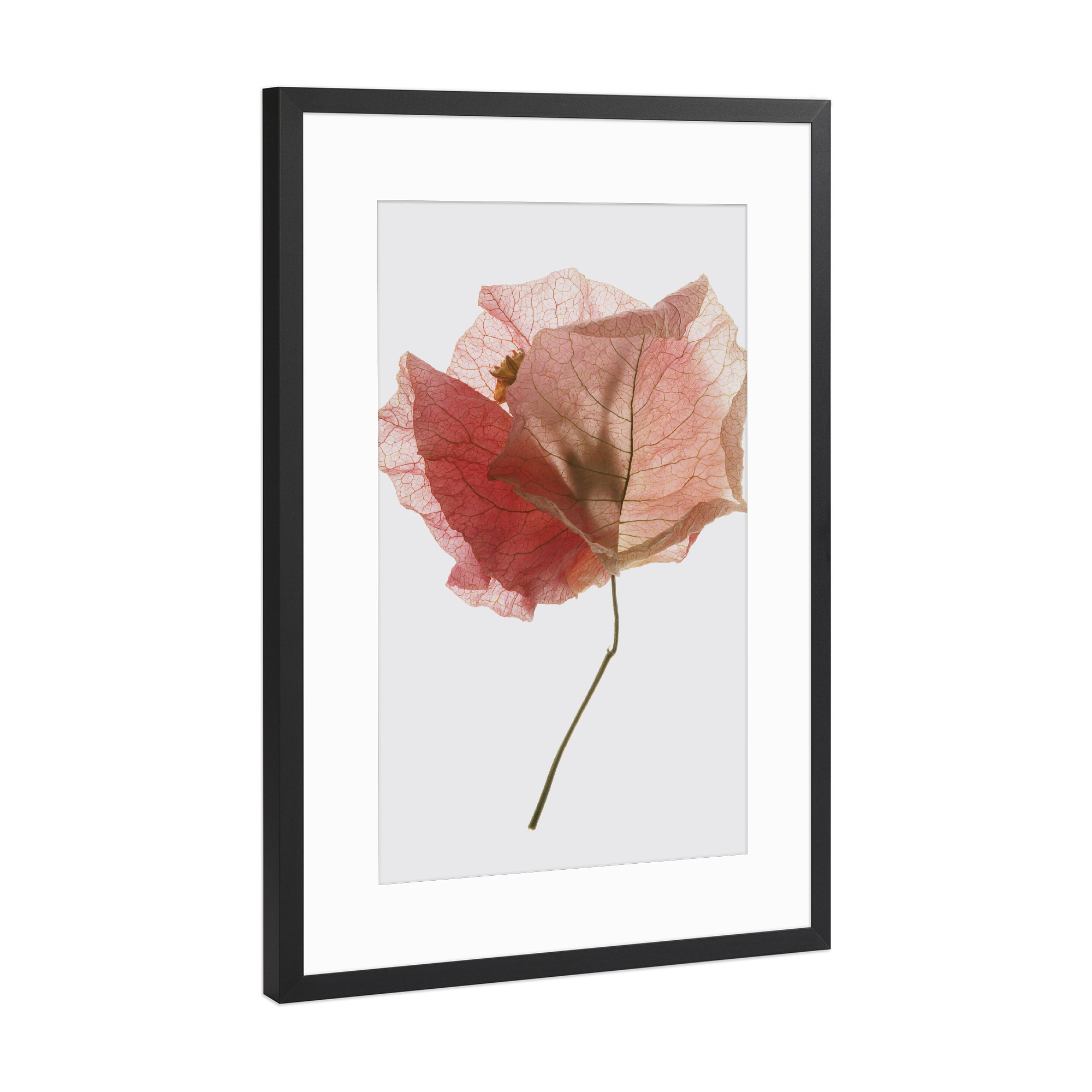 Poster mit Rahmen Schwarz (Metallic) "Bougainvillea leaf" artboxONE - Natur,Floral,Abstrakt