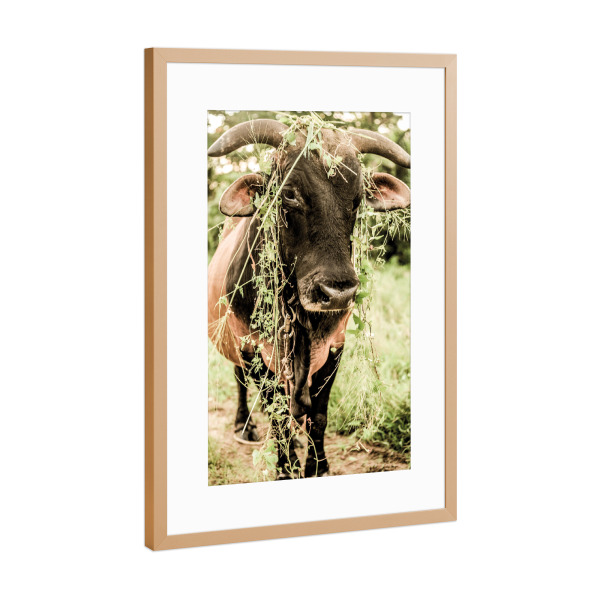 Poster mit Rahmen Kupfer "Botanical Bull" artboxONE - Natur,Tiere