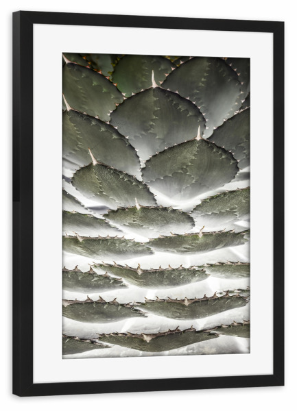 Poster mit Rahmen schwarz "Agave Layers" artboxONE - Natur,Floral,Abstrakt,Geometrie