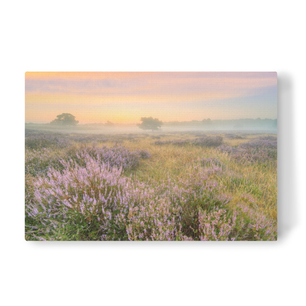 Leinwandbild "Heidelandschaft im Nebel" artboxONE - Natur,Reise / Länder