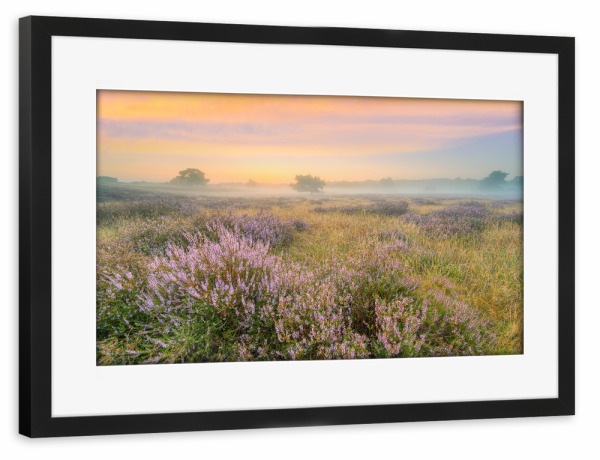 Poster mit Rahmen schwarz "Heidelandschaft im Nebel" artboxONE - Natur,Reise / Länder