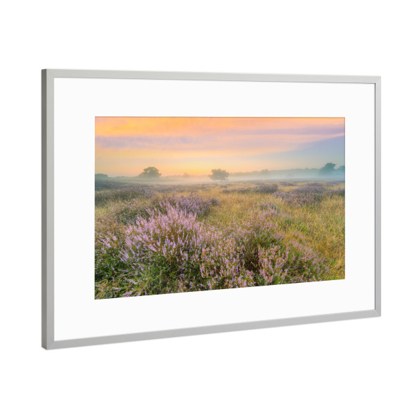 Poster mit Rahmen Silber "Heidelandschaft im Nebel" artboxONE - Natur,Reise / Länder