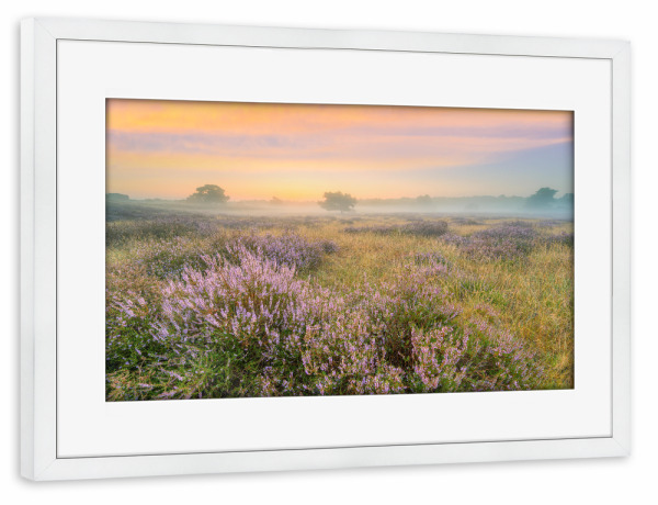 Poster mit Rahmen weiß "Heidelandschaft im Nebel" artboxONE - Natur,Reise / Länder