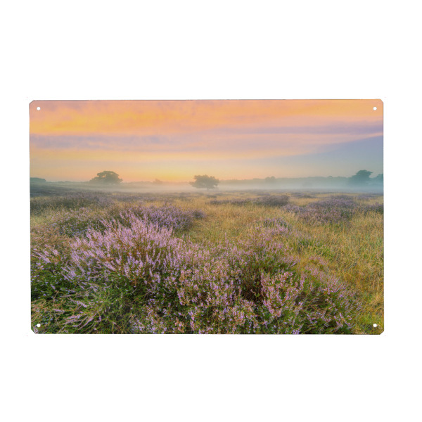 Metall Poster "Heidelandschaft im Nebel" artboxONE - Natur,Reise / Länder