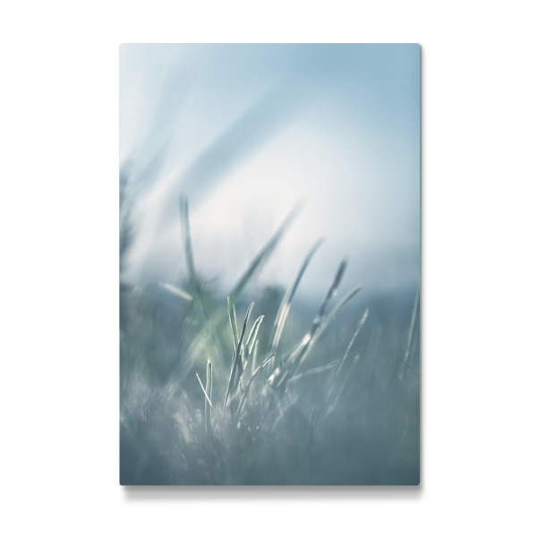 Galerie-Print "Leaves of Grass" 30x20 cm artboxONE