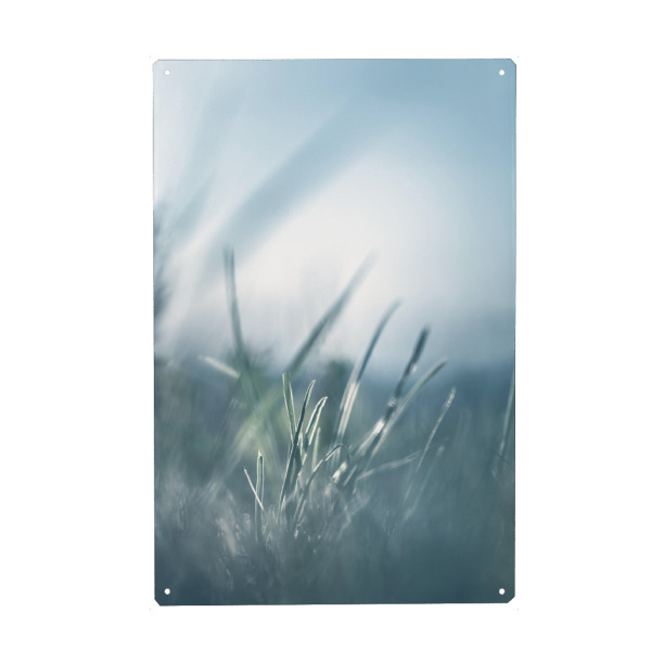 Holzbild "Leaves of Grass" artboxONE - Natur,Floral - Gras,Gegenlicht,Makrofotografie,Floral,Grashalme,Green,Natur,Nature,Nahaufnahme,Closeup