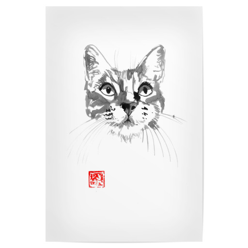 Cat face