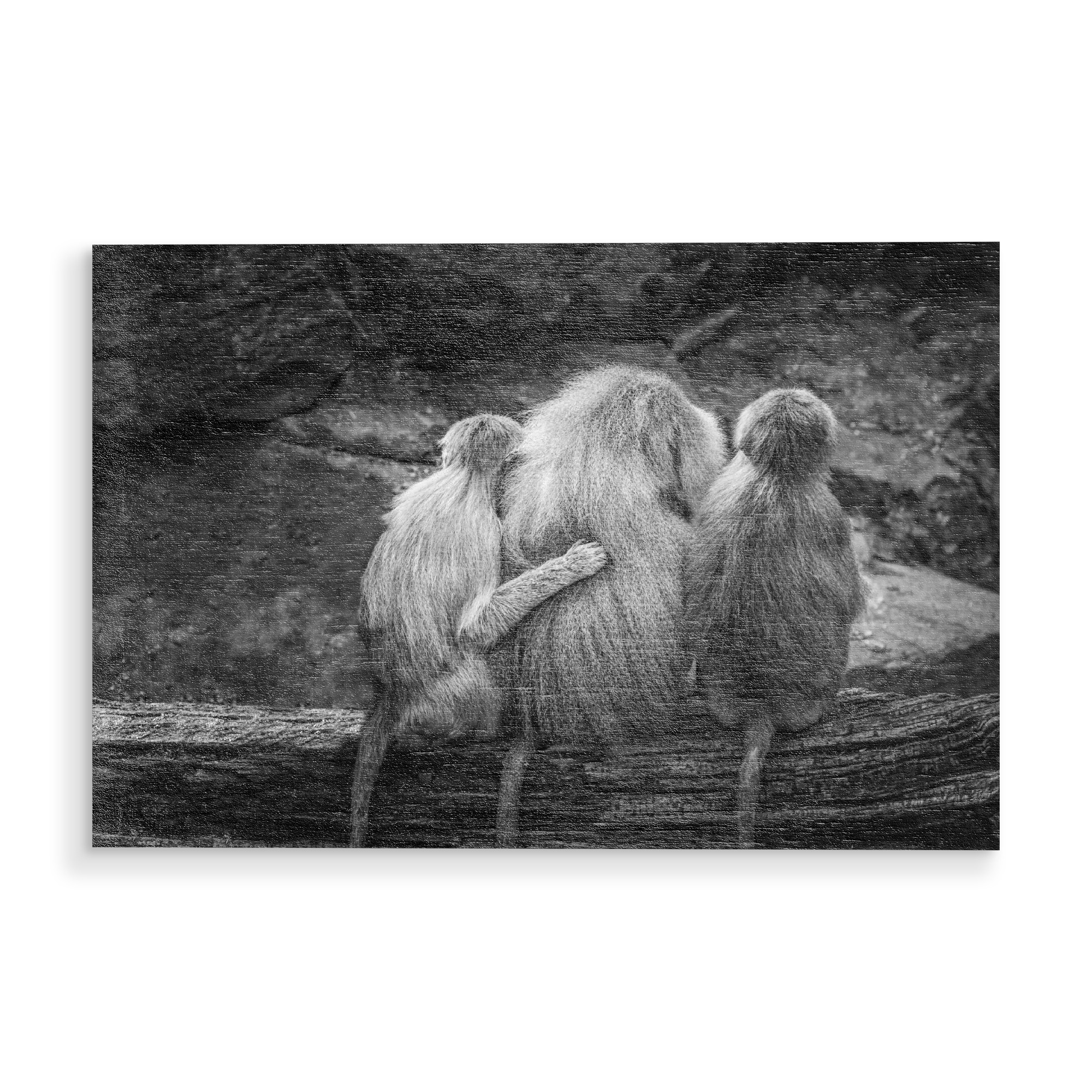 Holzbild "Tierische Freunde" artboxONE - Natur,Tiere