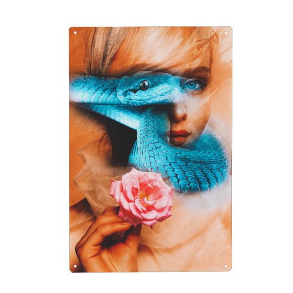 Metall Poster "Blue viper woman" artboxONE - Natur,Tiere,Menschen