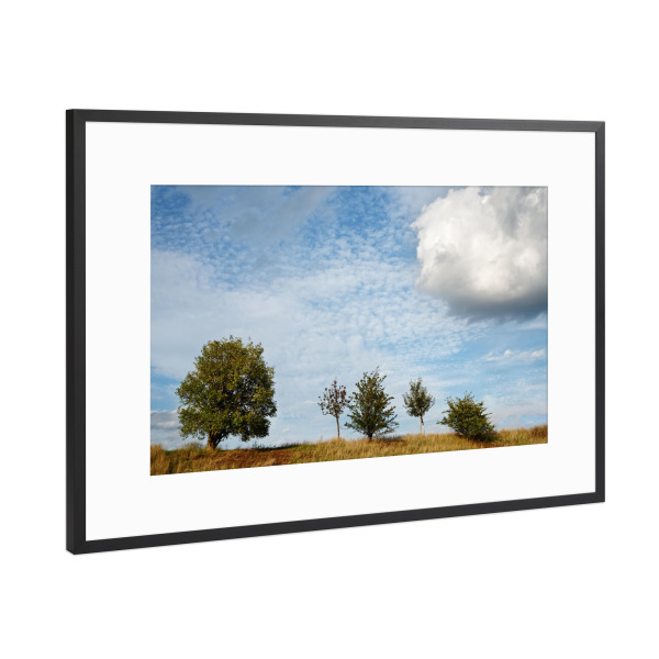 Poster mit Rahmen Schwarz (Metallic) "Fünf Bäume" artboxONE - Natur,Reise