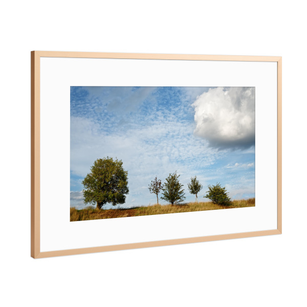 Poster mit Rahmen Kupfer "Fünf Bäume" artboxONE - Natur,Reise