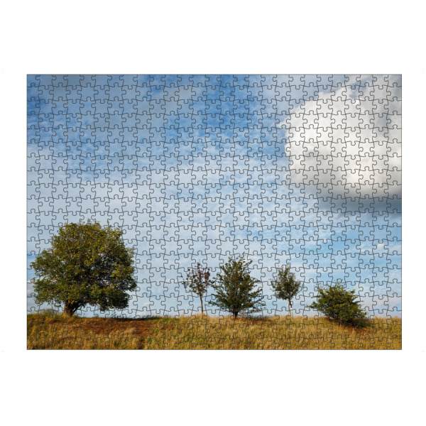 Puzzle Ravensburger "Fünf Bäume" artboxONE - Natur,Reise
