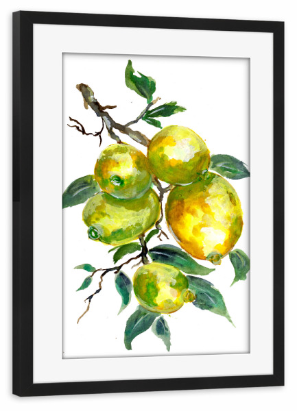 Poster mit Rahmen schwarz "Lemon Fruits on a Tree Branch" artboxONE - Natur,Essen & Trinken / Obst & Gemüse