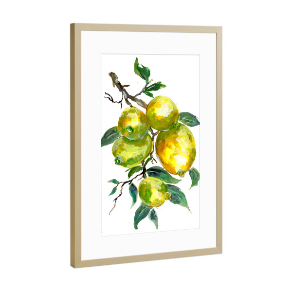 Poster mit Rahmen Gold "Lemon Fruits on a Tree Branch" artboxONE - Natur,Essen & Trinken / Obst & Gemüse