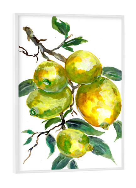 Poster mit weißem Rahmen "Lemon Fruits on a Tree Branch" artboxONE - Natur,Essen & Trinken / Obst & Gemüse