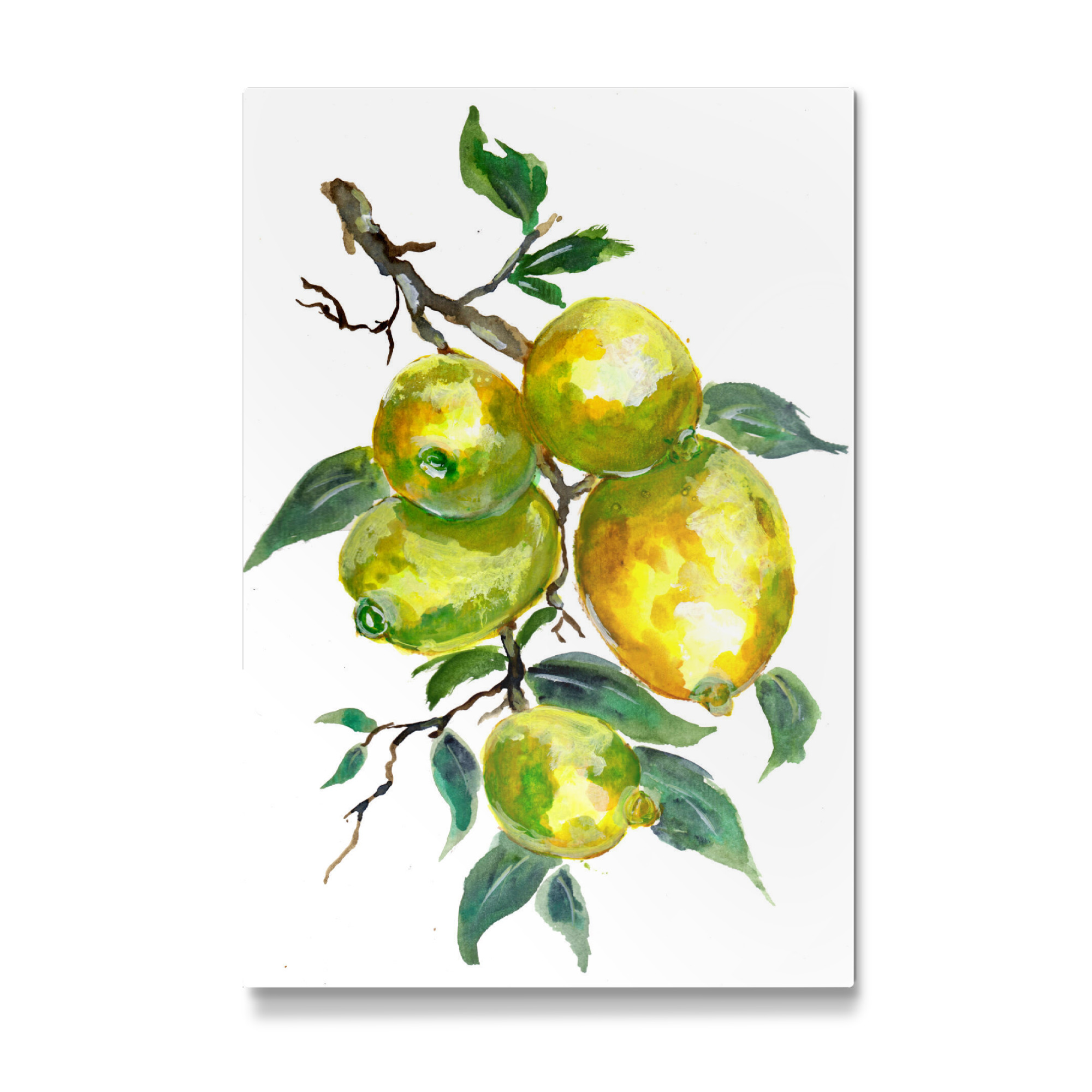 Galerie-Print "Lemon Fruits on a Tree Branch" 75x50 cm artboxONE