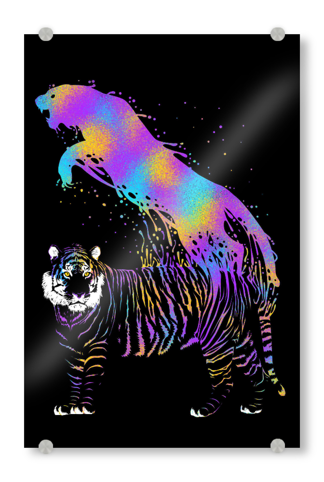 Acrylglasbild "Tiger ink colorful" artboxONE - Tiere - Tiger,Feline,Cat,Predator,Ink,Rainbow,Colorful,Bunt,Lila,Tier,Animal