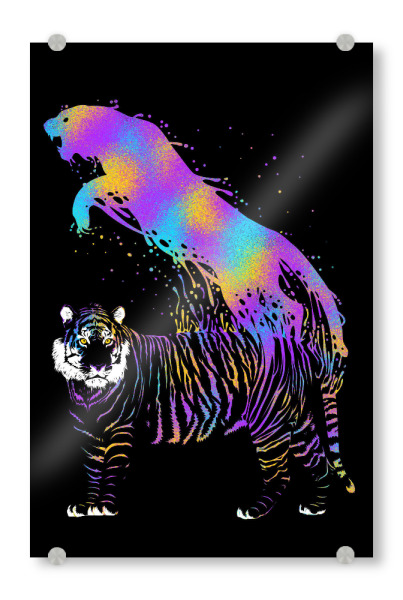 Acrylglasbild "Tiger ink colorful" artboxONE - Tiere - Tiger,Feline,Cat,Predator,Ink,Rainbow,Colorful,Bunt,Lila,Tier,Animal