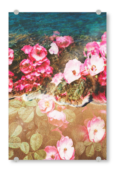 Acrylglasbild "Floral sea" artboxONE - Natur,Floral - Sea,Blue,Rosa,Pink,Flowers,Good vibes,Natur,Nature,Blau,Beach,Blumen,Strand,Ozean,Grün,Green