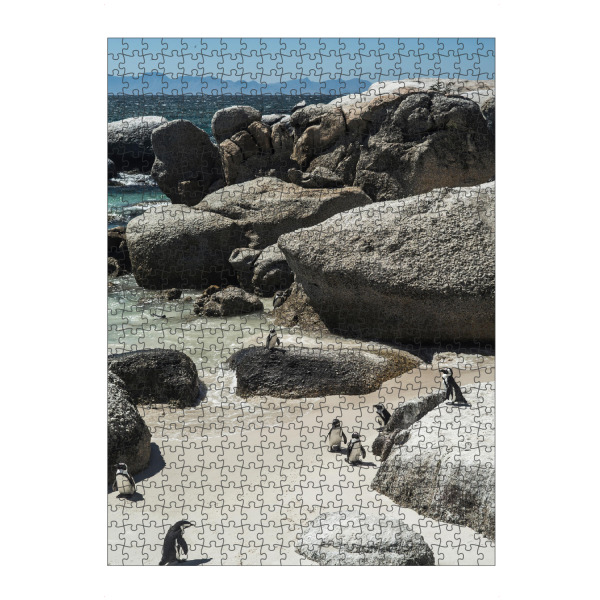 Puzzle Ravensburger "Boulders Beach" artboxONE - Natur,Tiere