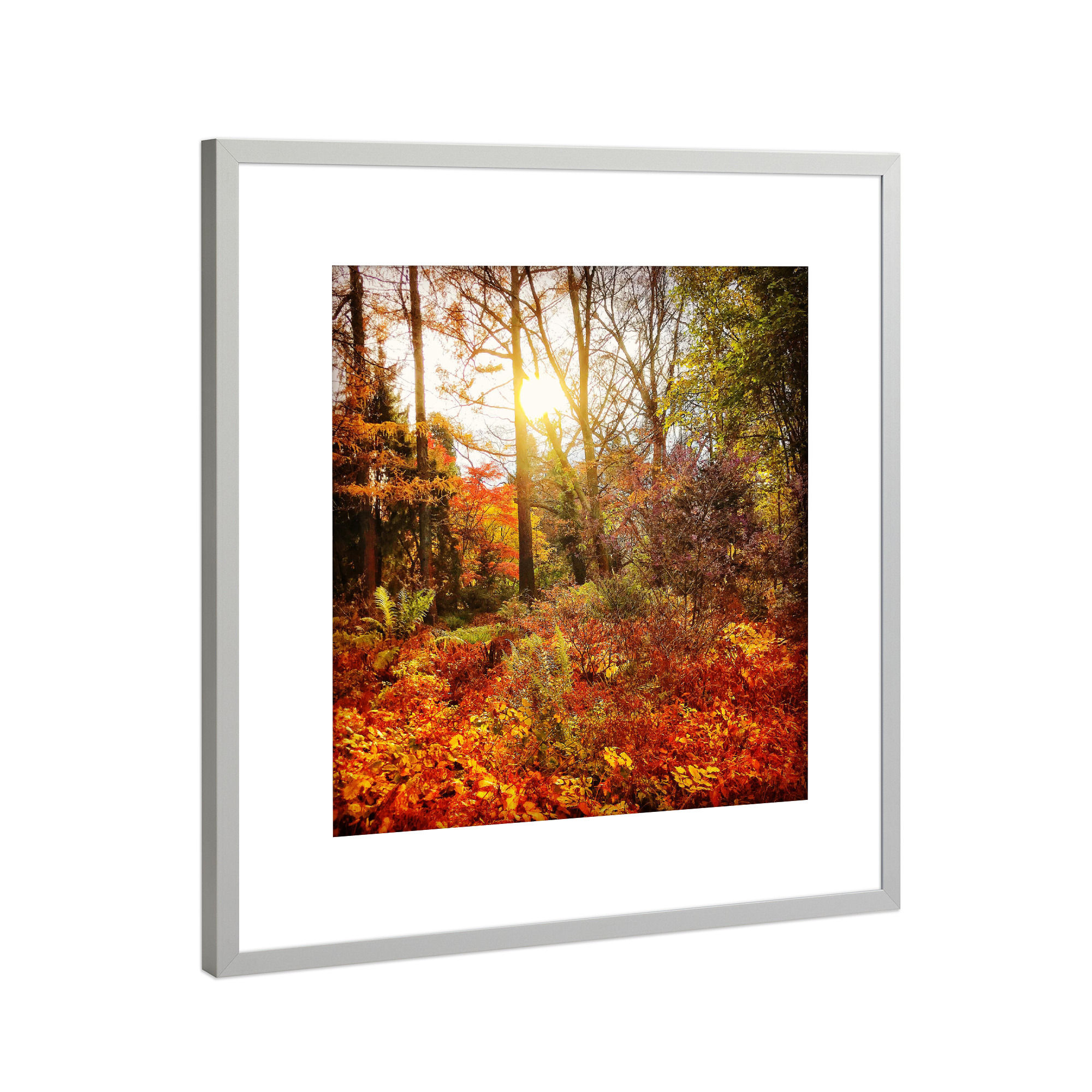 Poster mit Rahmen Silber "Sunday Walk" artboxONE - Natur - Herbst,Autumn,Natur,Wald,Forest,Nature,Landschaft,Landscape,Sonne,Licht,Sun,Light