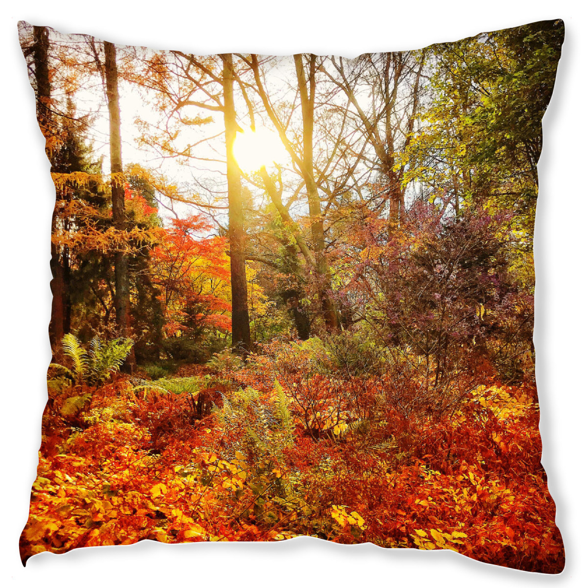Design-Kissen "Sunday Walk" artboxONE - Natur - Herbst,Autumn,Natur,Wald,Forest,Nature,Landschaft,Landscape,Sonne,Licht,Sun,Light
