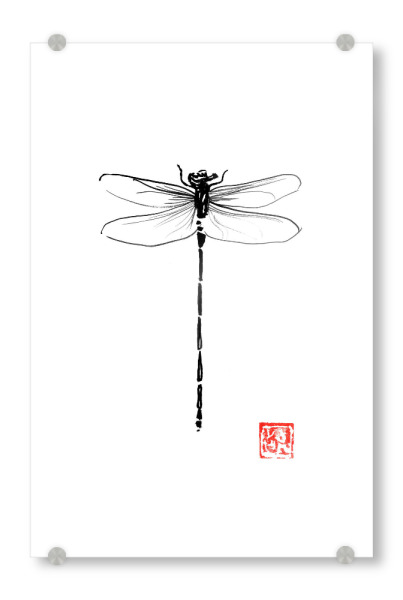 Acrylglasbild "Dragonfly" artboxONE - Tiere - Dragonfly,Sumie,Japan,Libelle,Insekt,Insect,Schwarzweiß,Blackandwhite,Minimal,Minimalistisch