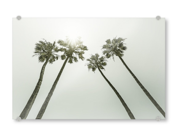 Acrylglasbild "Palmen in der Sonne | Vintage" artboxONE - Natur,Reise,Reise / Strand und Meer