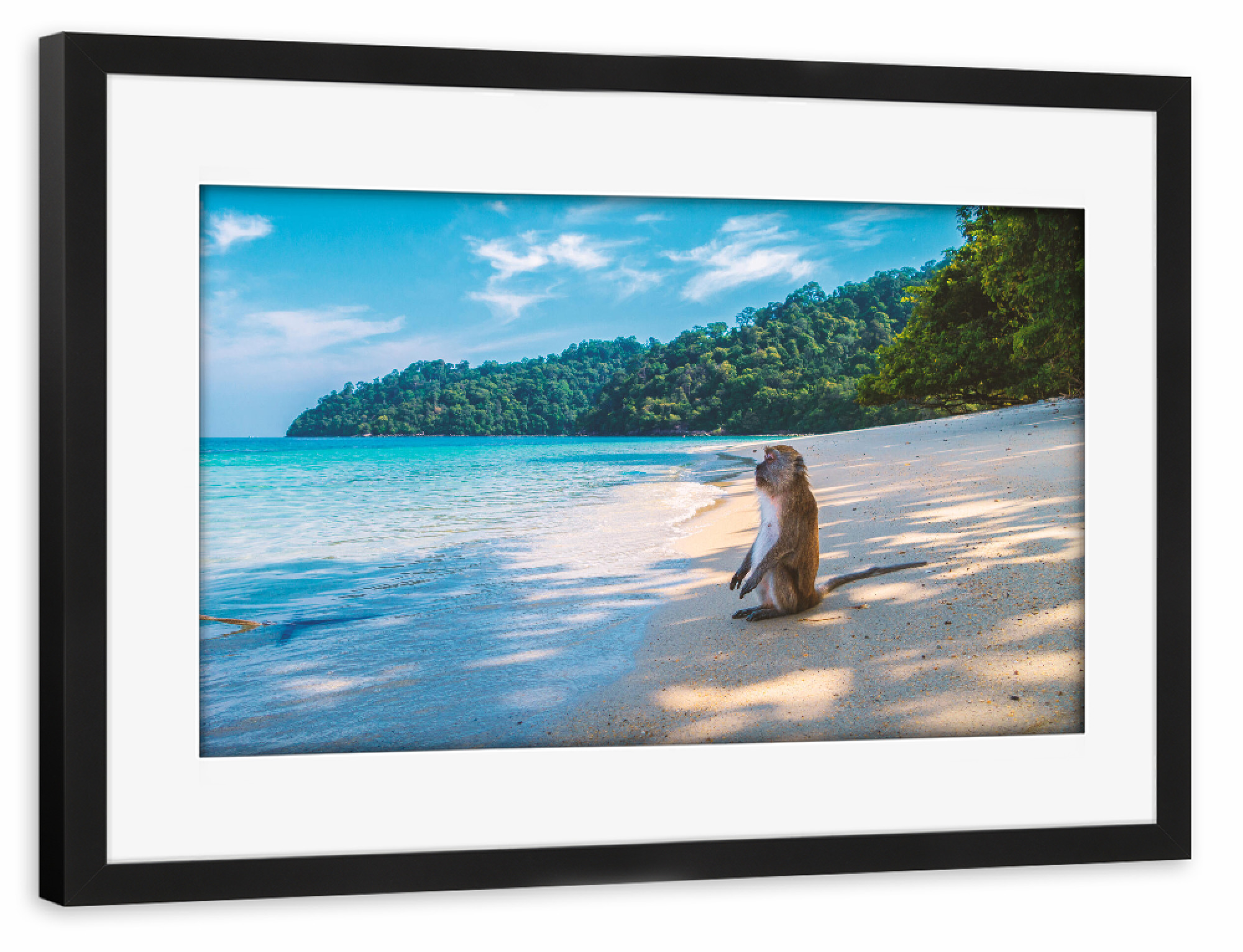 Poster mit Rahmen schwarz "Affe genießt den Strand" artboxONE - Natur,Reise,Tiere,Reise / Strand und Meer