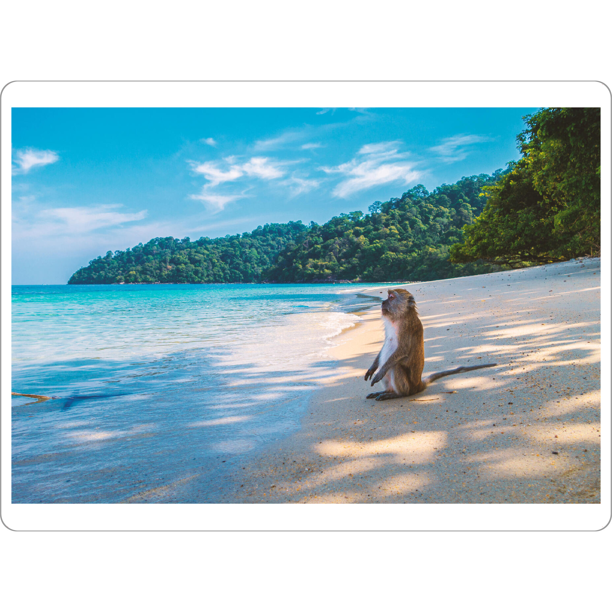 Tischset "Affe genießt den Strand" artboxONE - Natur,Reise,Tiere,Reise / Strand und Meer