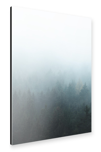 Alu-Dibond "Bäume im Nebel" 30x20 cm artboxONE
