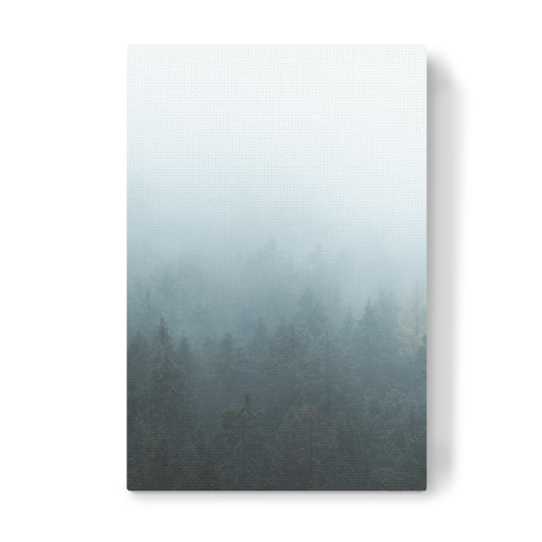 Leinwandbild "Bäume im Nebel" artboxONE - Natur,Reise
