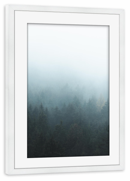 Poster mit Rahmen weiß "Bäume im Nebel" artboxONE - Natur,Reise