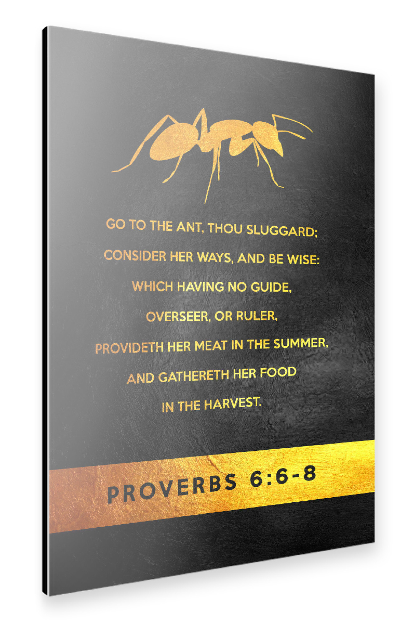 Alu-Dibond "Proverbs 6:6-8" 75x50 cm artboxONE