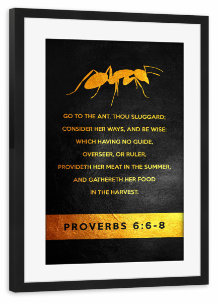 Poster mit Rahmen schwarz "Proverbs 6:6-8" artboxONE - Typografie,Tiere