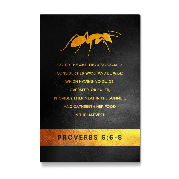 Galerie-Print "Proverbs 6:6-8" 30x20 cm artboxONE
